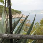 Porozina plaža otok Cres Pomalo Croatia