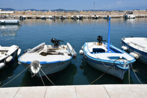 Susak barke, Susak luka