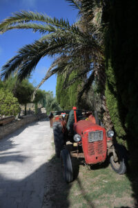 Susak traktor, Adriatic, Croatia